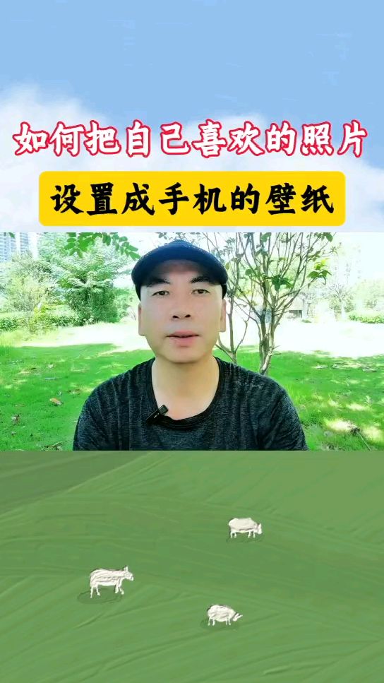 如何把喜欢的照片设置成手机壁纸?