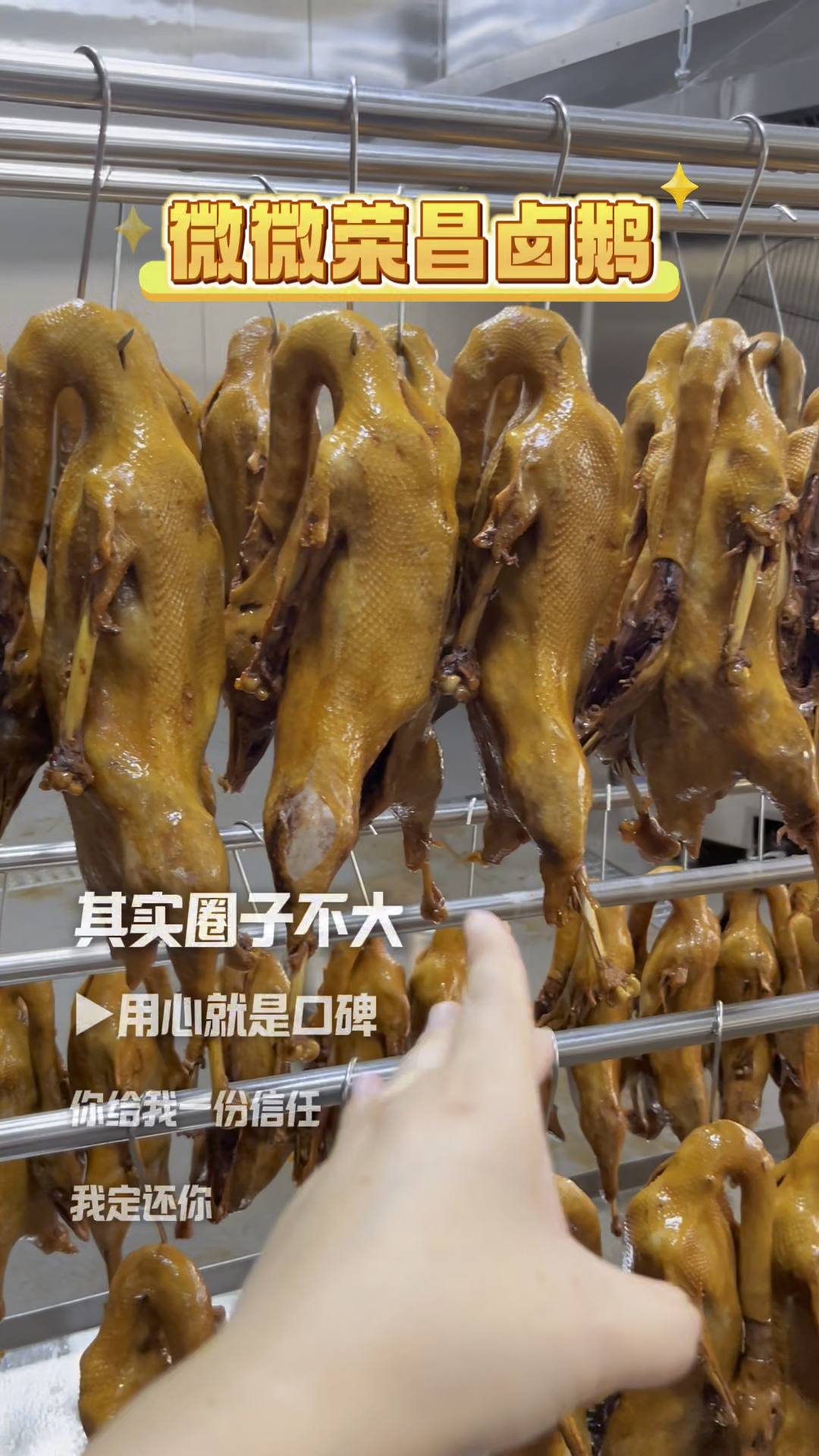 荣昌卤鹅现卤现发,厂家品宣活动价,赶紧囤起来