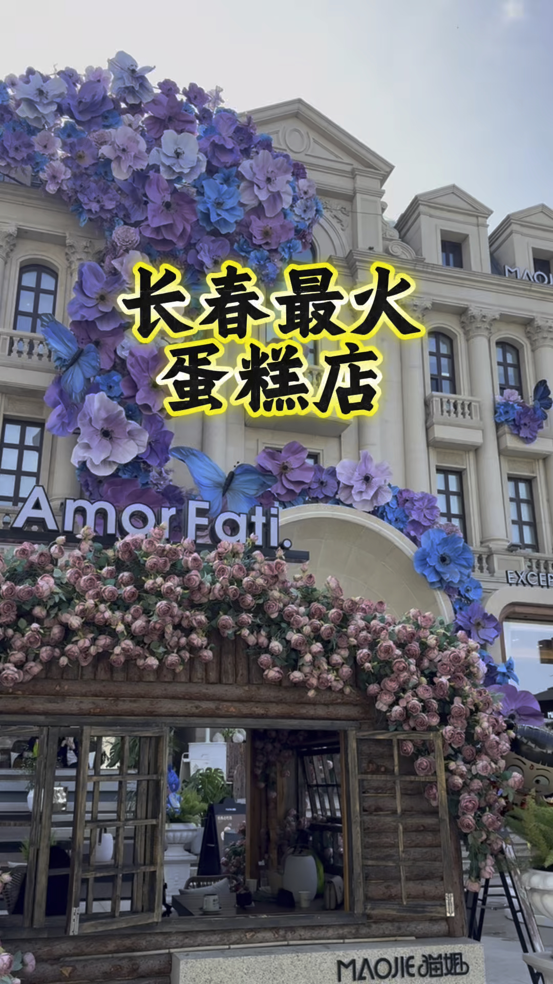 长春最火蛋糕店，有些东西不服不行