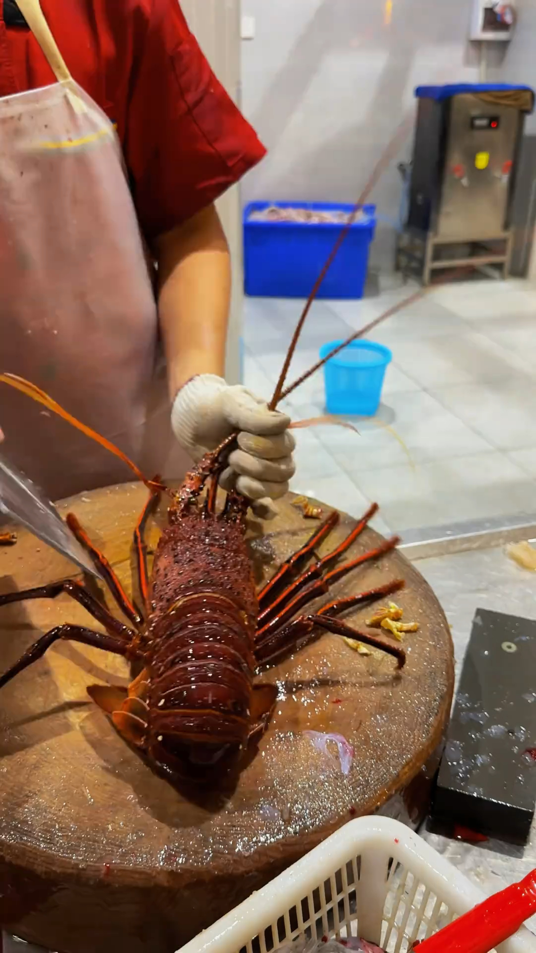 今天来了一位从高端餐厅出来的水台 来了只处理了一只红龙虾。