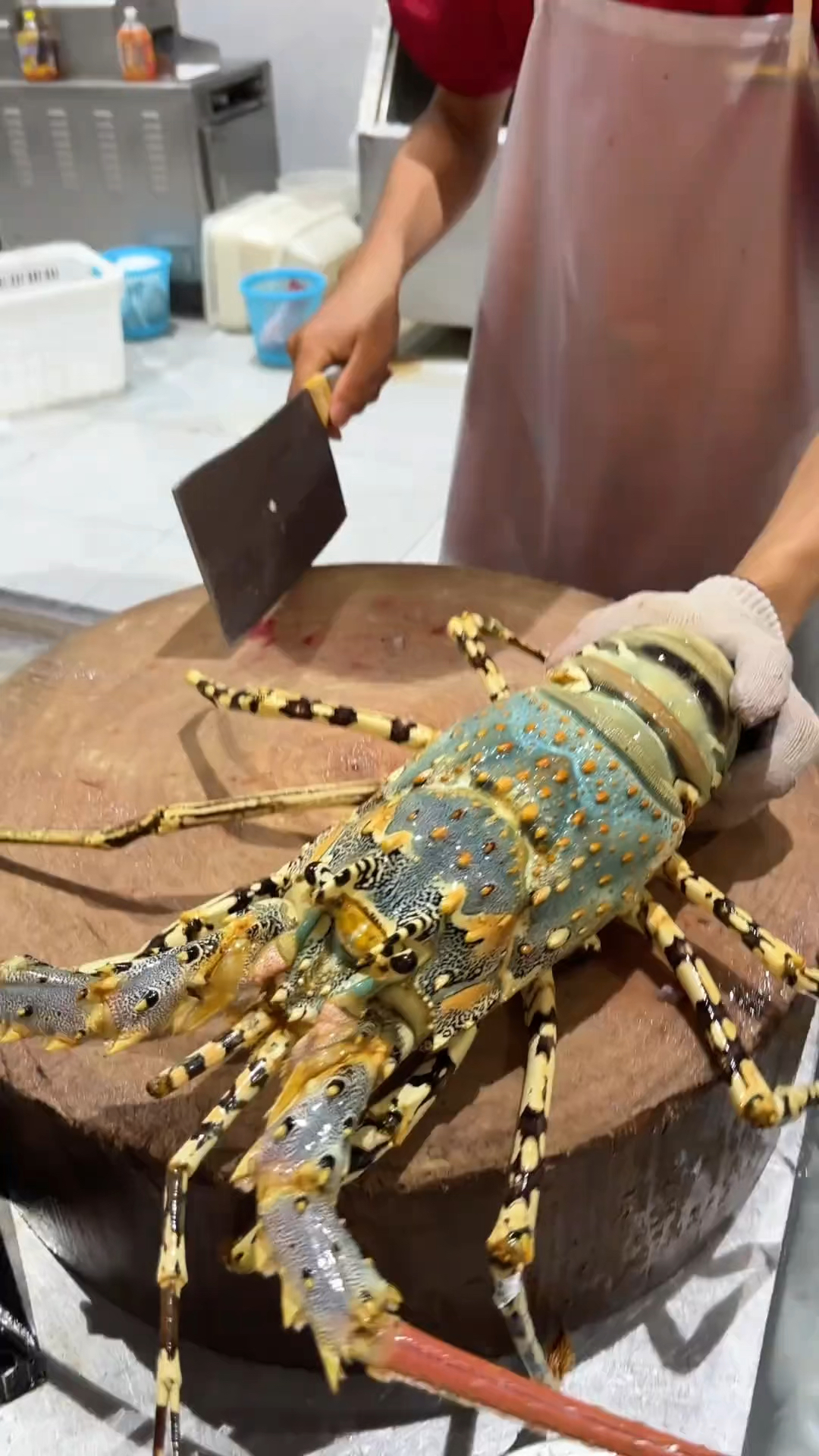 今天来了一位从高端餐厅出来的水台 来了只处理了一只大花龙虾。