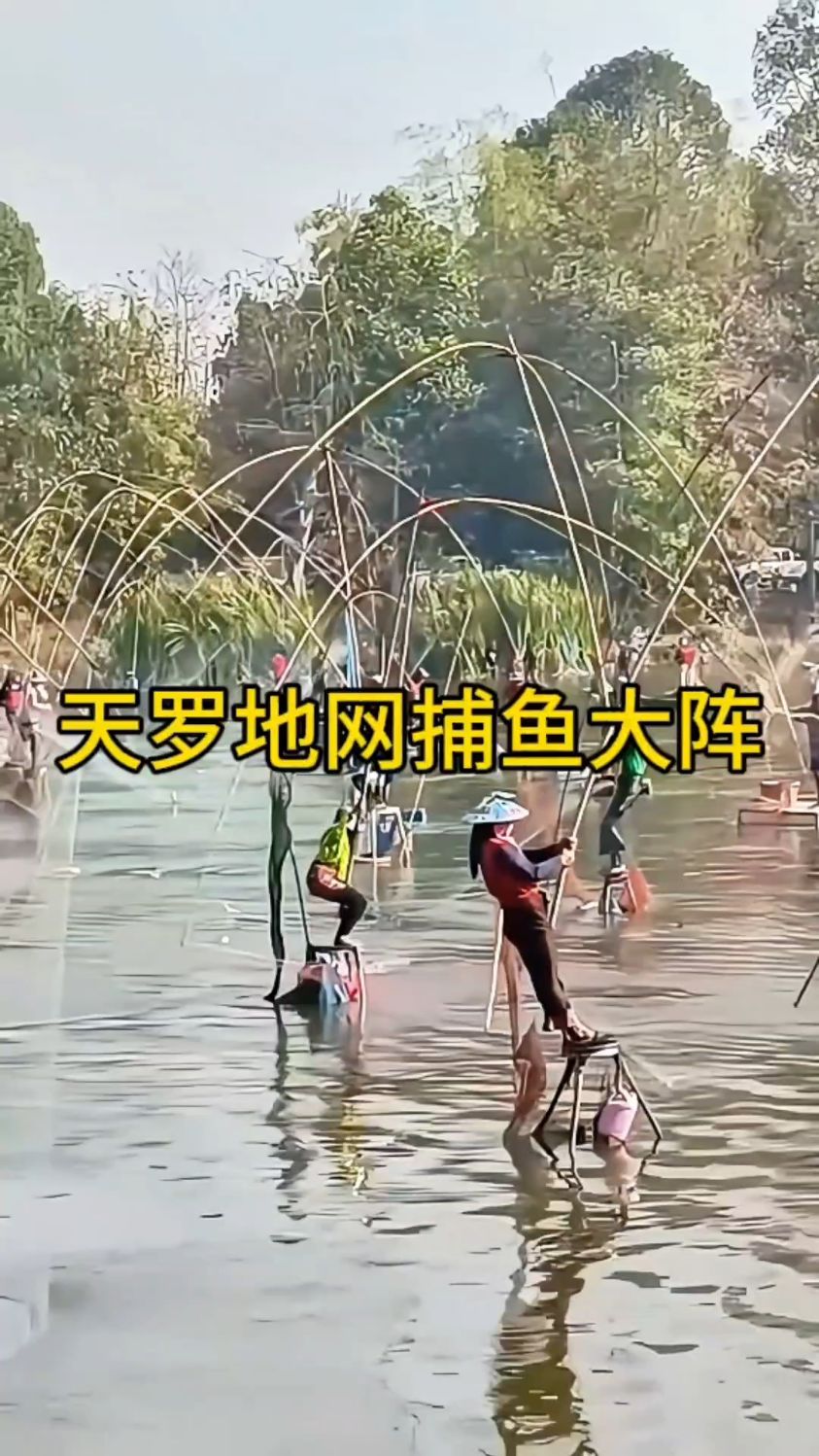 国外大妈们的“天罗地网”捕鱼大阵!