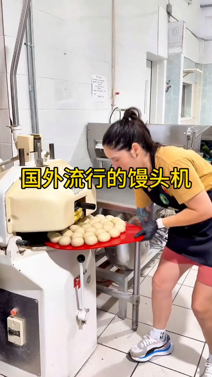 国外十分流行的馒头机,面饼秒变馒头!