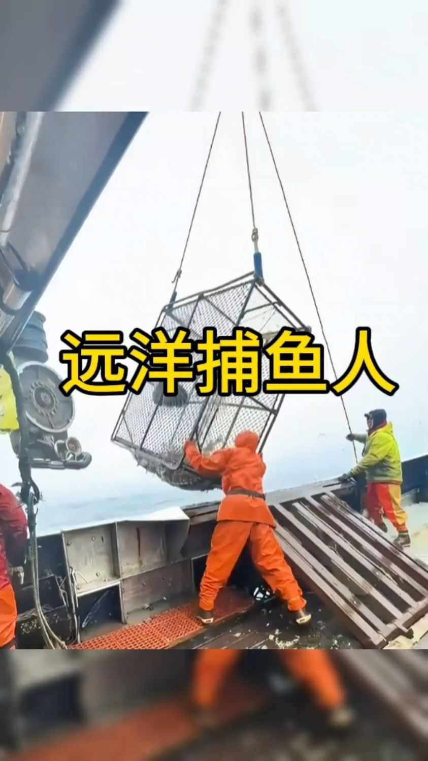 远洋捕鱼人捞出了一个巨大的鱼笼!