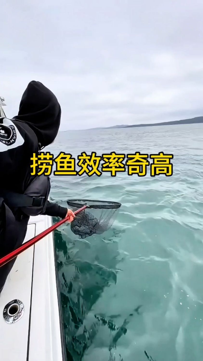 抄网的捕鱼效率这么高的吗?