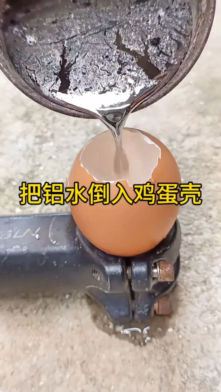 把铝水倒入鸡蛋壳中会发生什么呢？