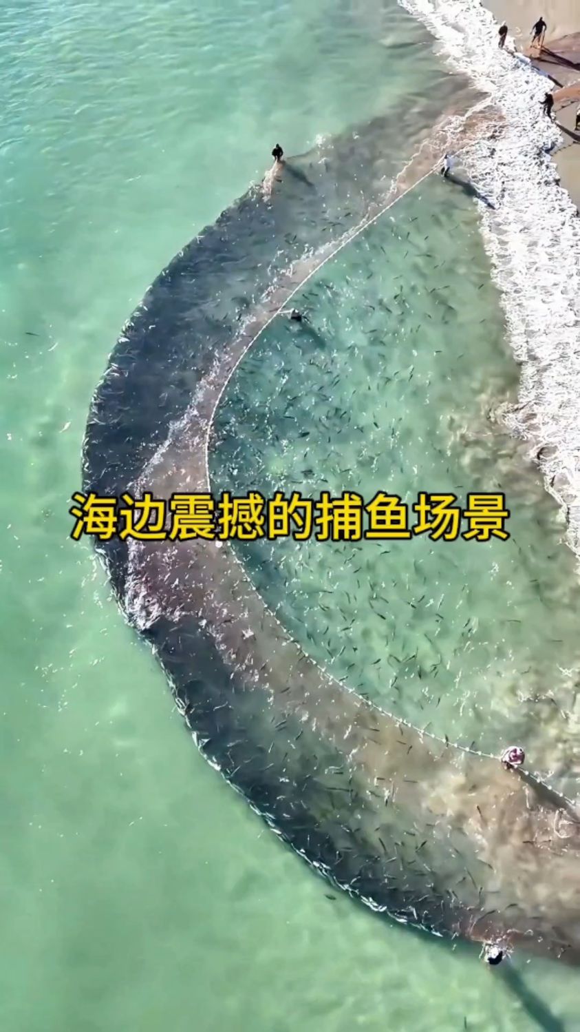 海边震撼的捕鱼场景，一张渔网足有百米长！