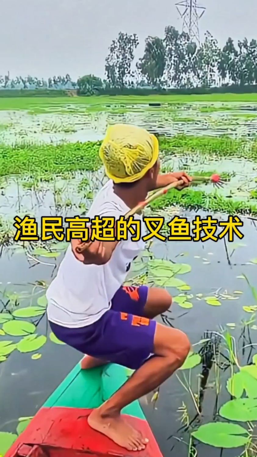 渔民高超的叉鱼技术！