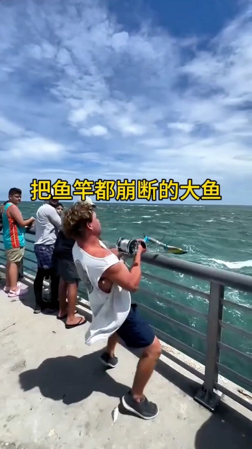 海钓把鱼竿都崩断的大鱼,有多恐怖?