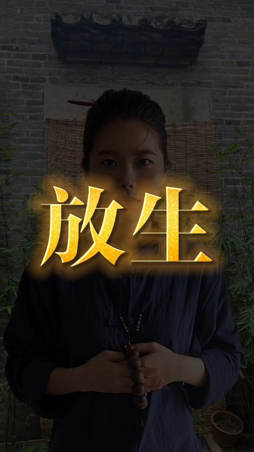 放生什么最有功德!道长给你解惑,盲目放生罪恶不小
