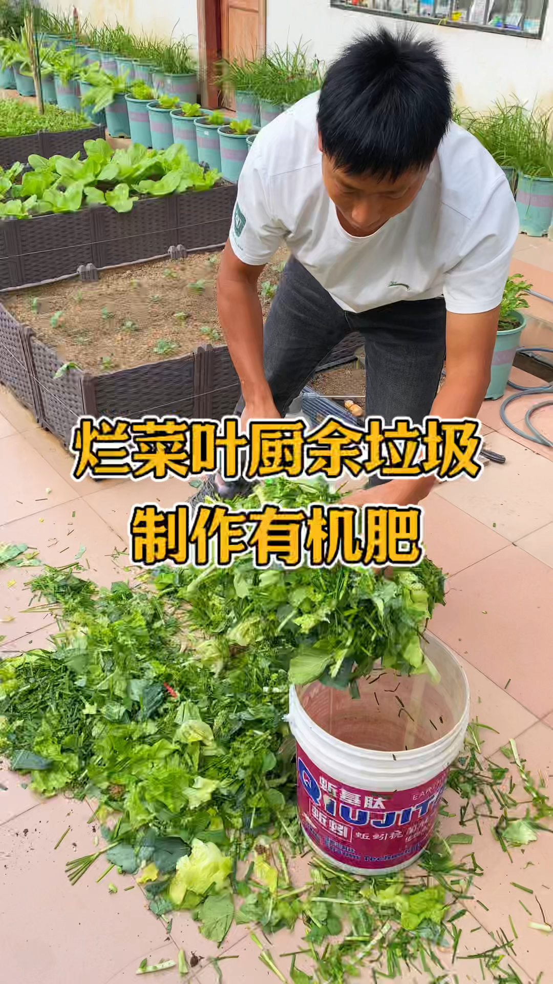 不要的烂菜叶厨余垃圾都能简单的制作有机肥