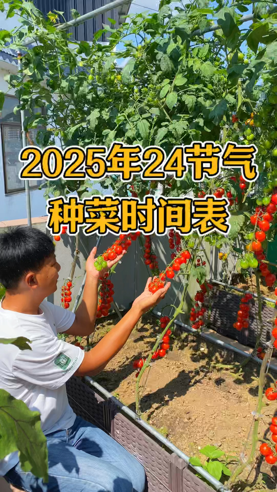 种菜时间很重要,种不种菜都要懂。