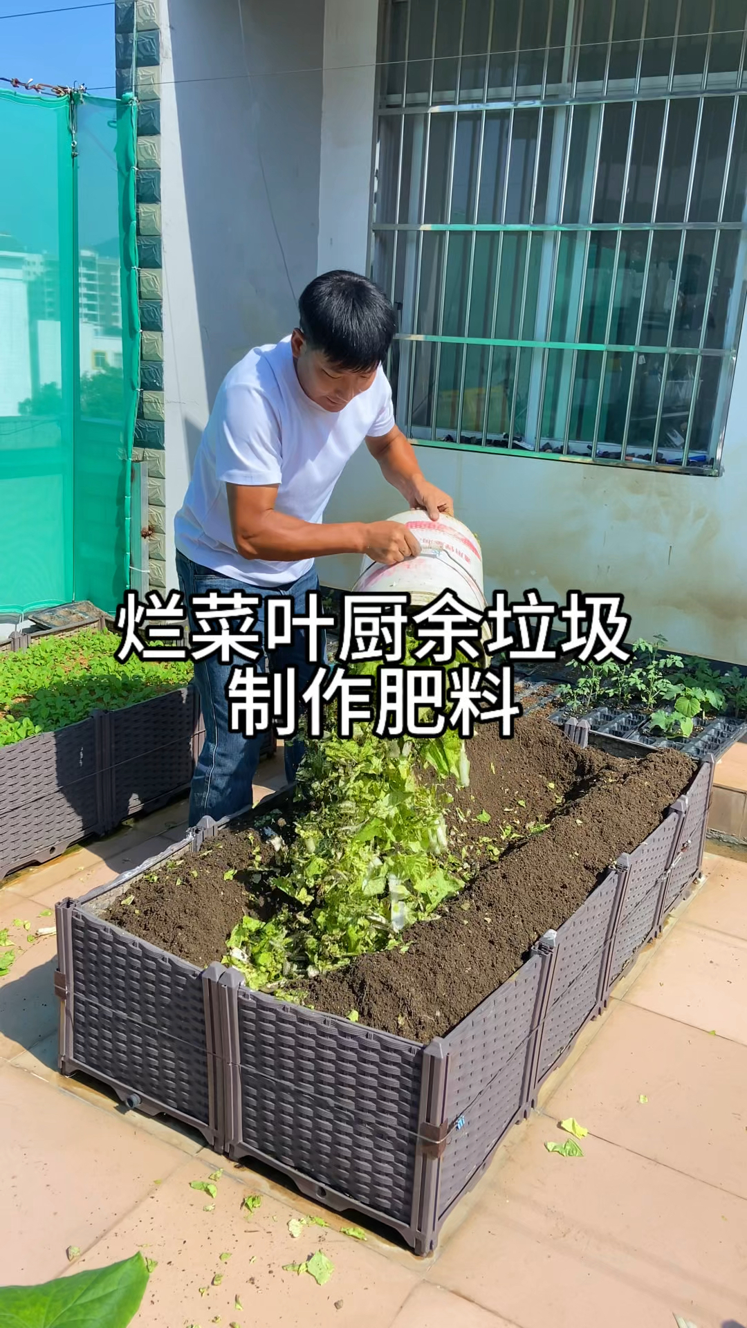 菜园很多老烂叶要处理掉，平时吃剩的果皮、厨余不要扔，拿来堆肥