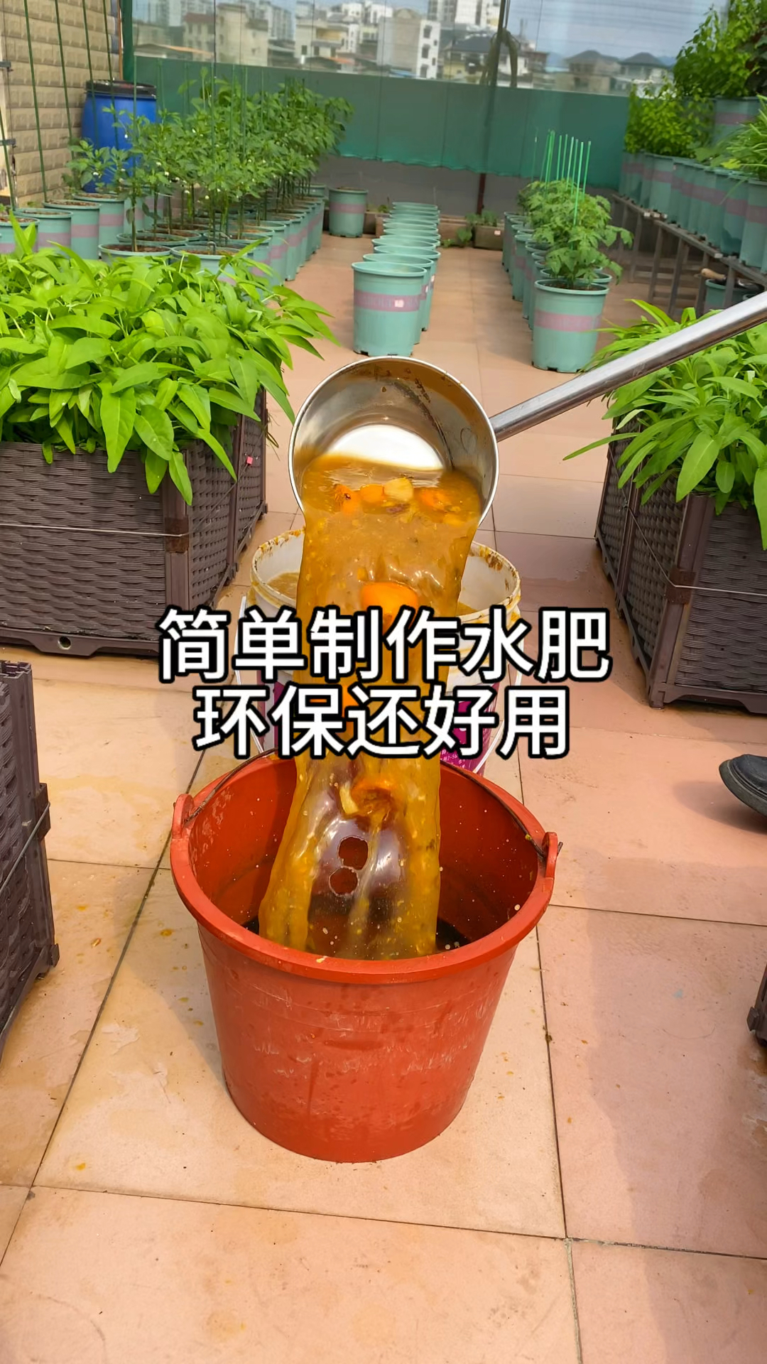 这样的烂菜叶厨余垃圾丢掉怪可惜的，我们可以制作成有机肥
