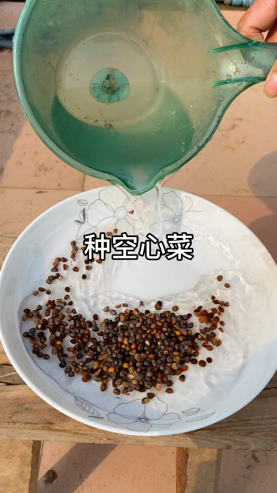又到种植空心菜的季节,给大家分享空心菜种植方法#种植小技巧