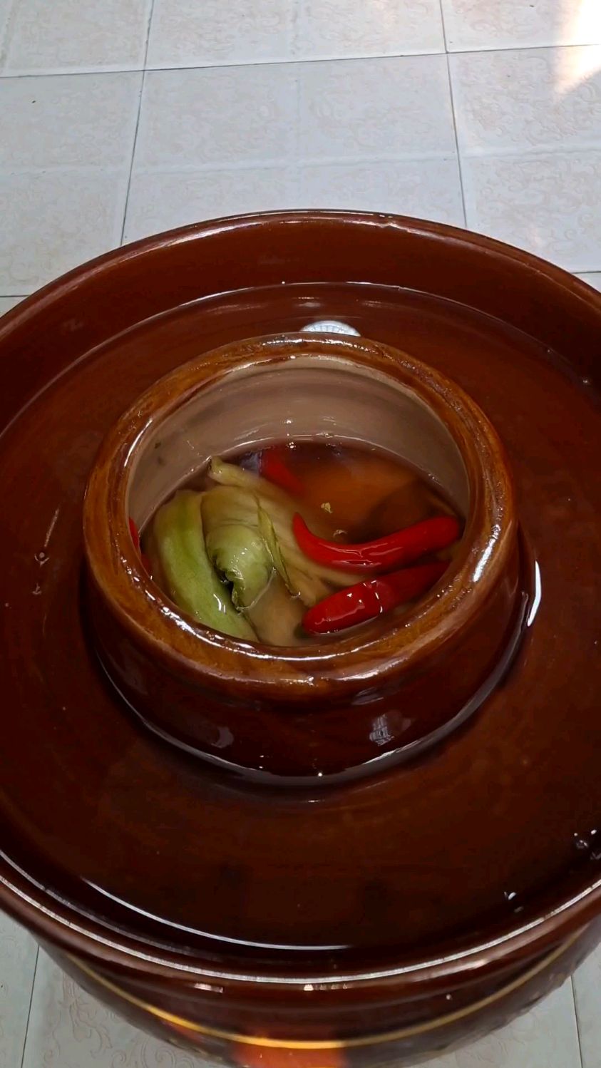 四川老坛泡菜，泡青菜泡熟了