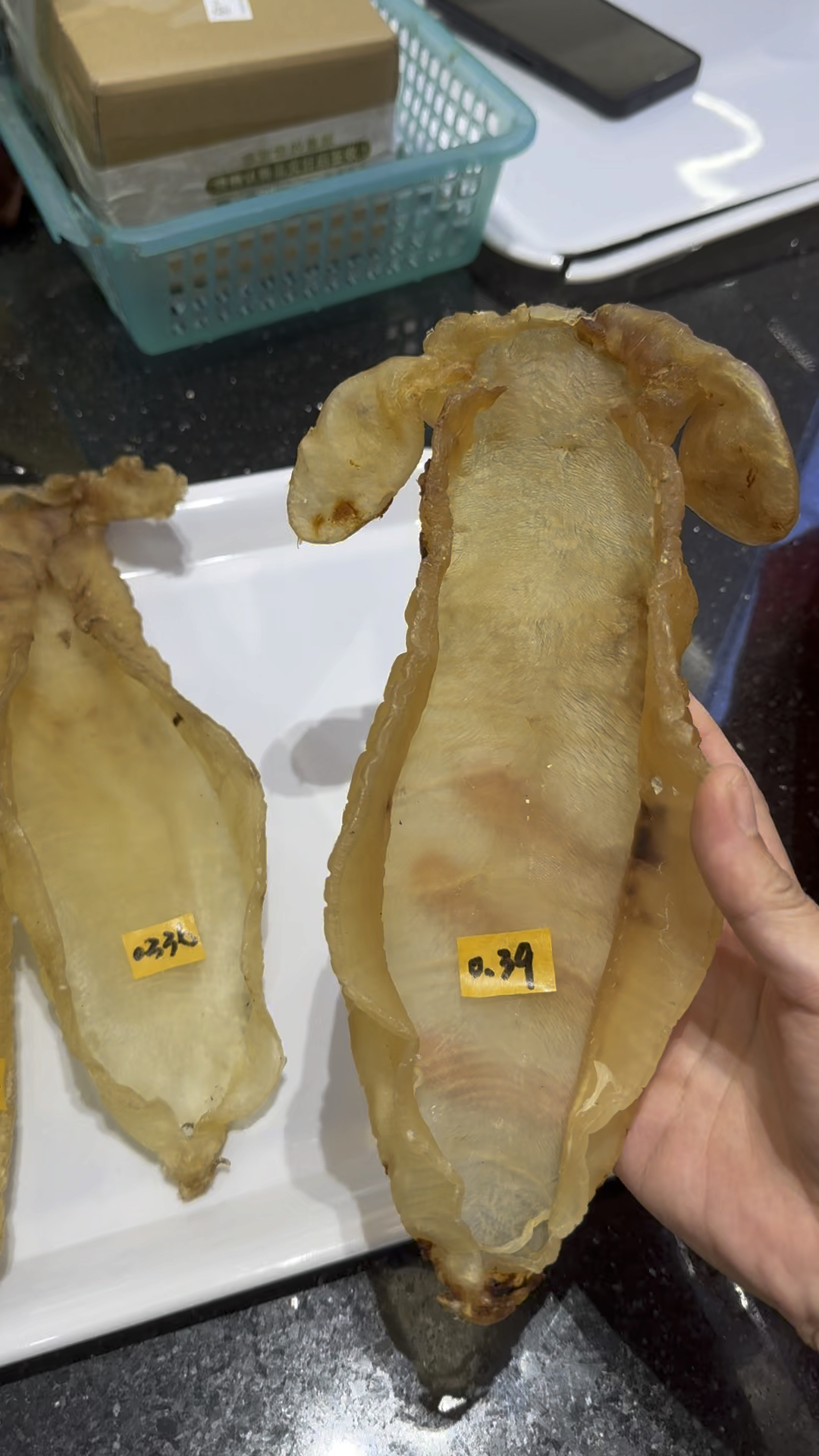 野生大耳赤嘴胶众所周知鱼胶传承之宝鱼胶越老越值钱五大名胶之一