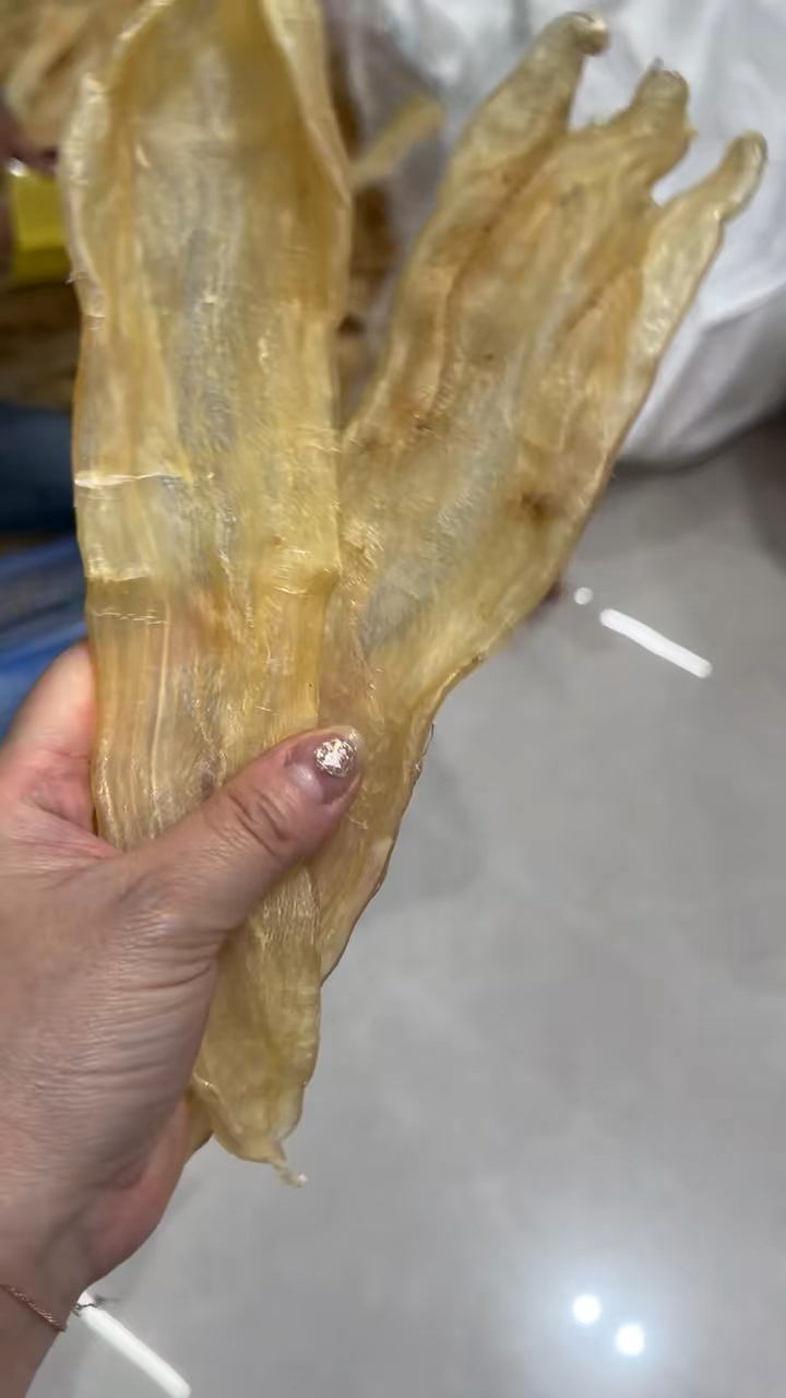 日常最实惠一款的鱼胶北海阴阳条