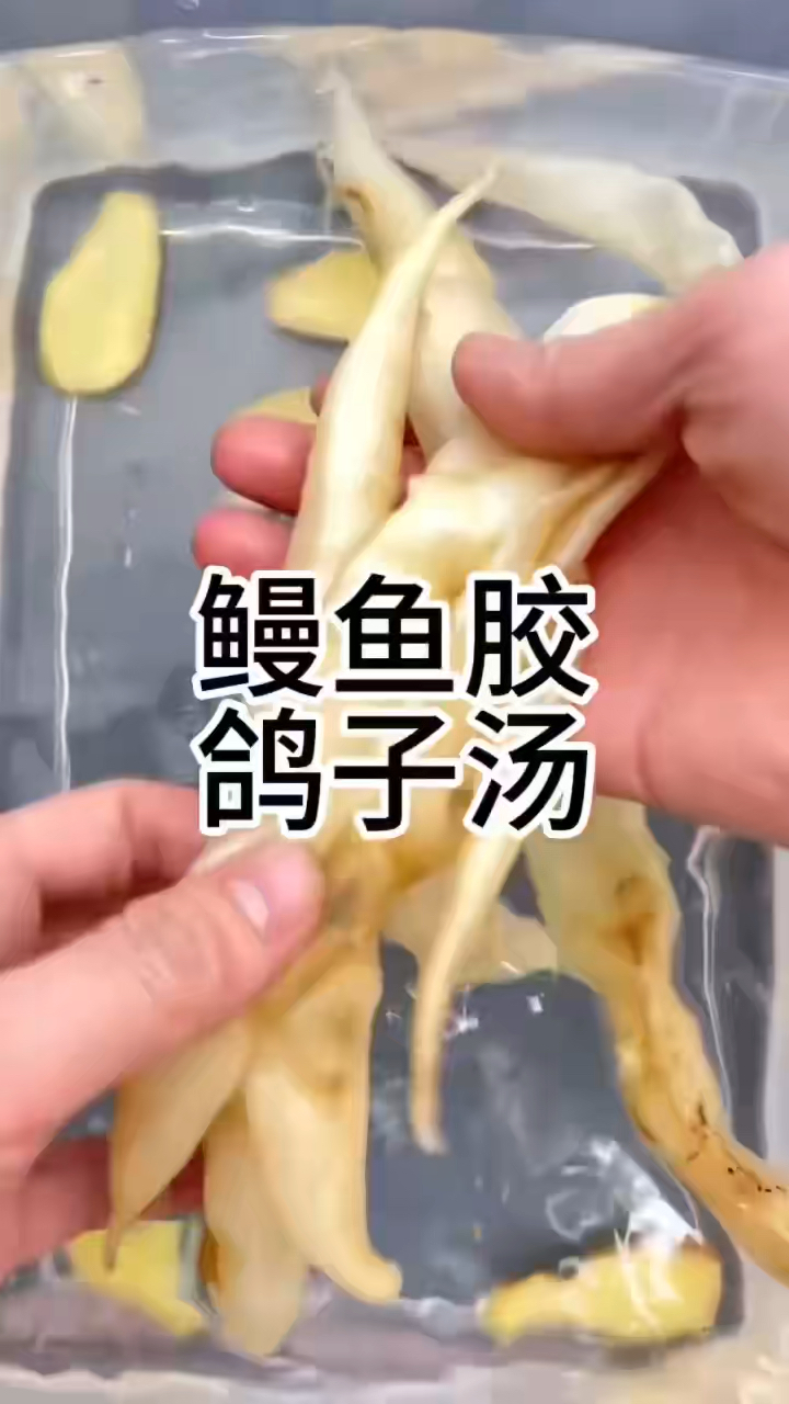 鳗鱼胶怎么做来了