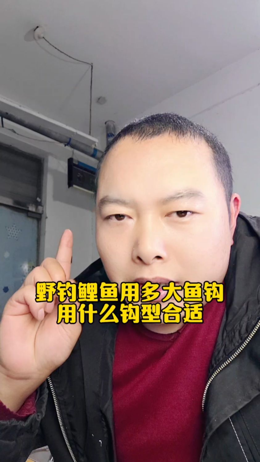 野钓鲤鱼总跑鱼？选对鱼钩是关键！这几种钩型和尺寸快收藏#钓鱼