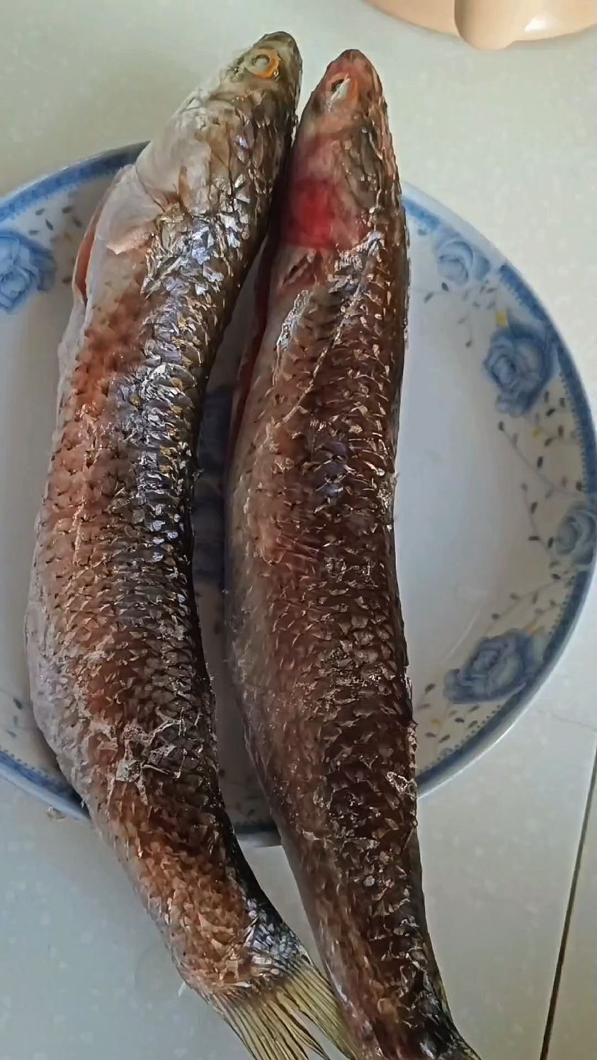 砂锅炖:梭鱼、五花肉、雪里红、水豆腐，绝美搭配