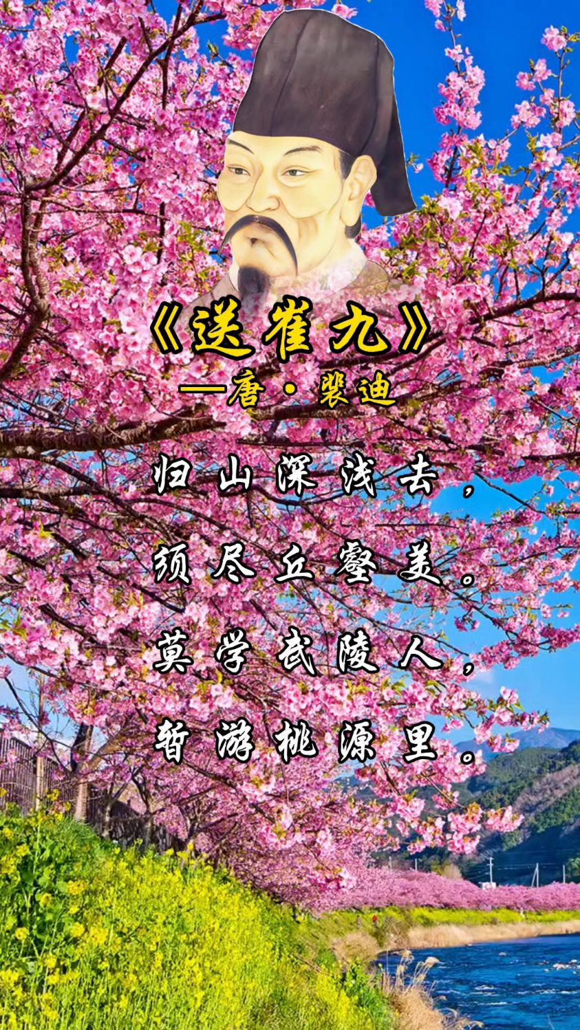 古诗词鉴赏《送崔九》唐·裴迪
