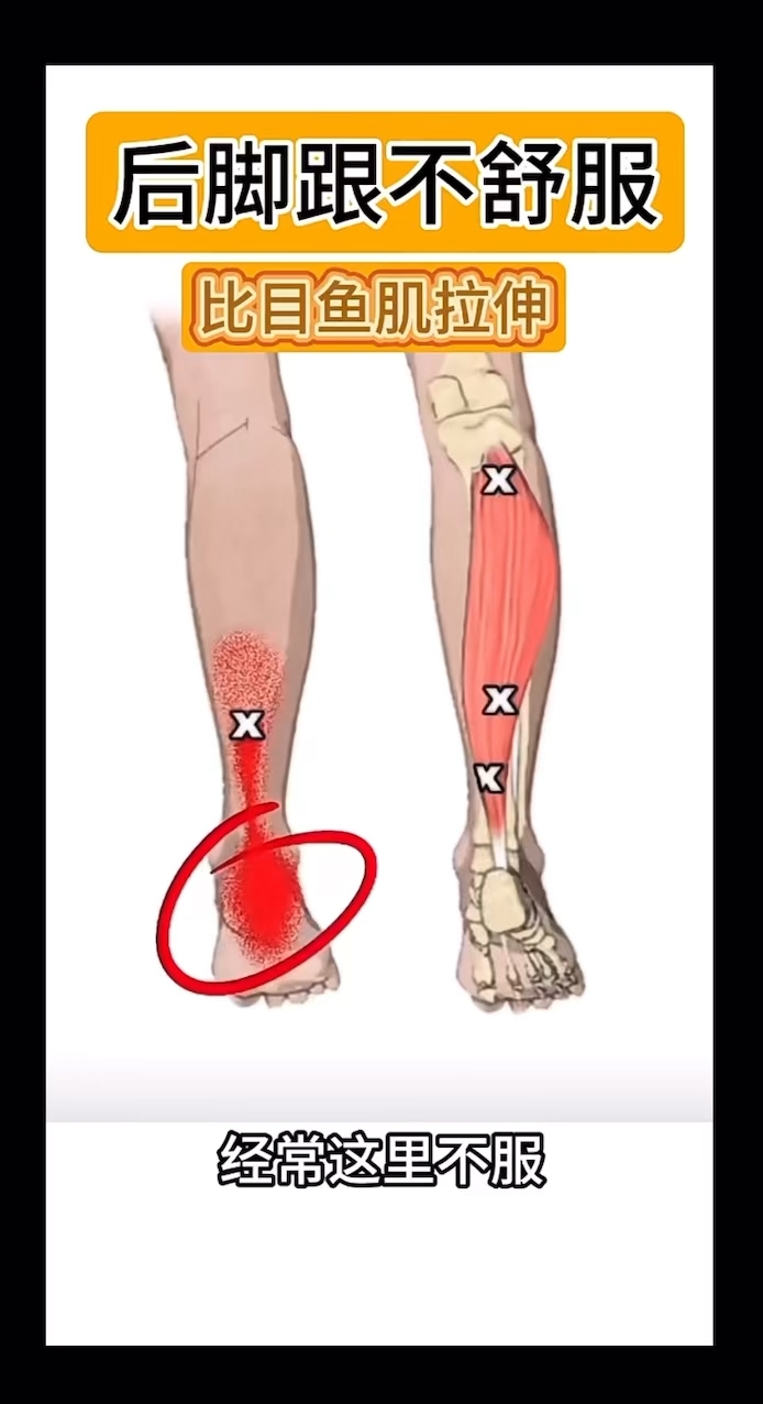 小腿不舒服,试试这个拉伸#拉伸#运动