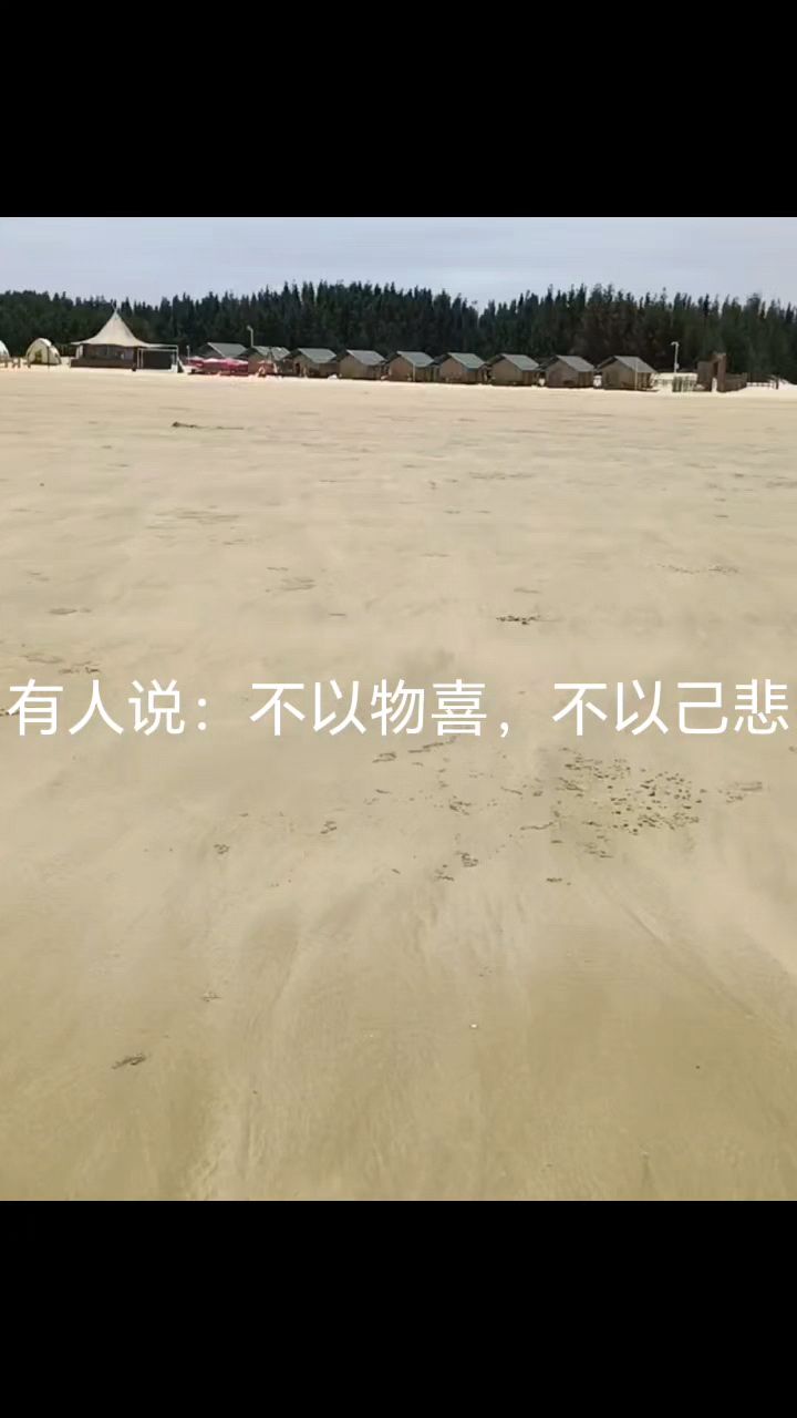 就算生活一地鸡毛，也能编织成漂亮的鸡毛掸子