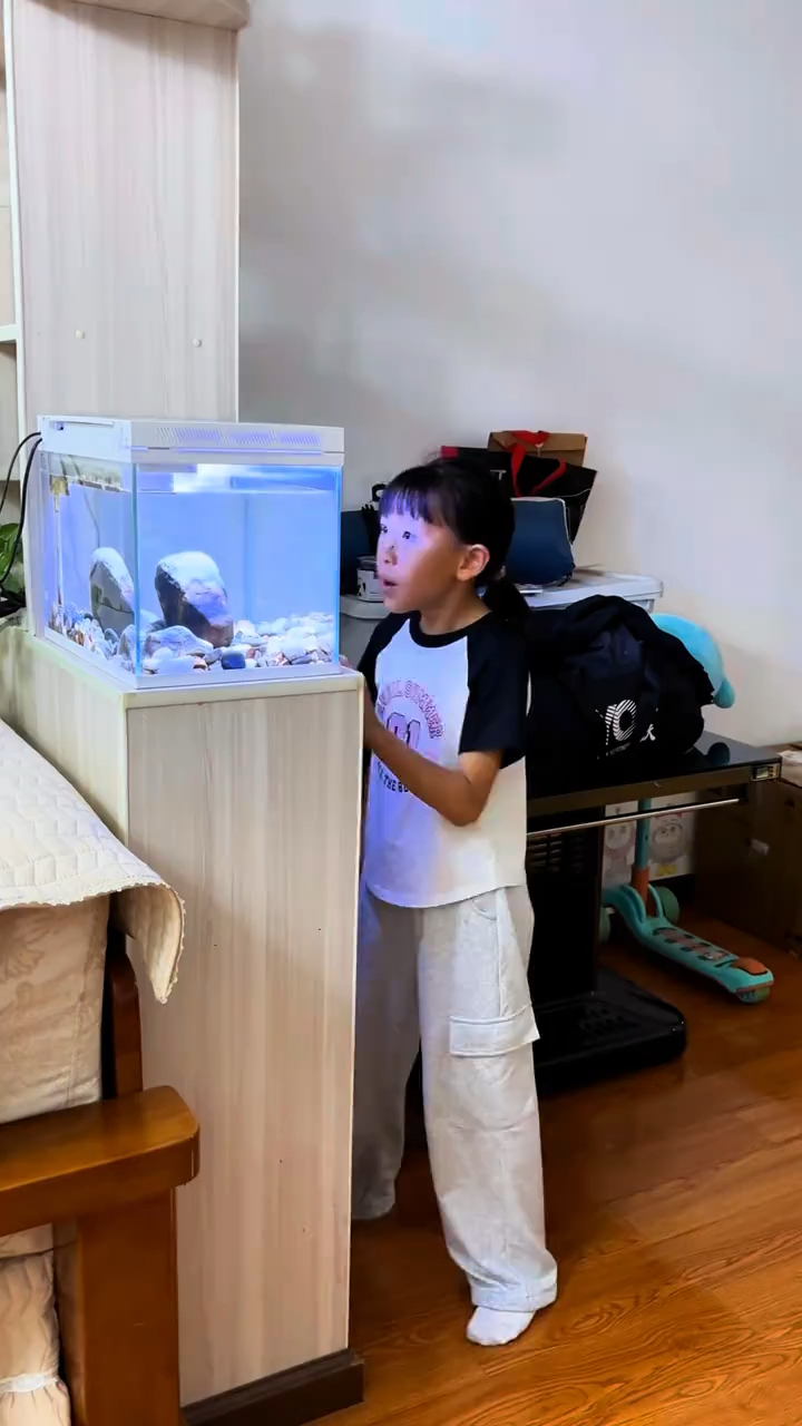 我家孔雀鱼生宝宝啦!