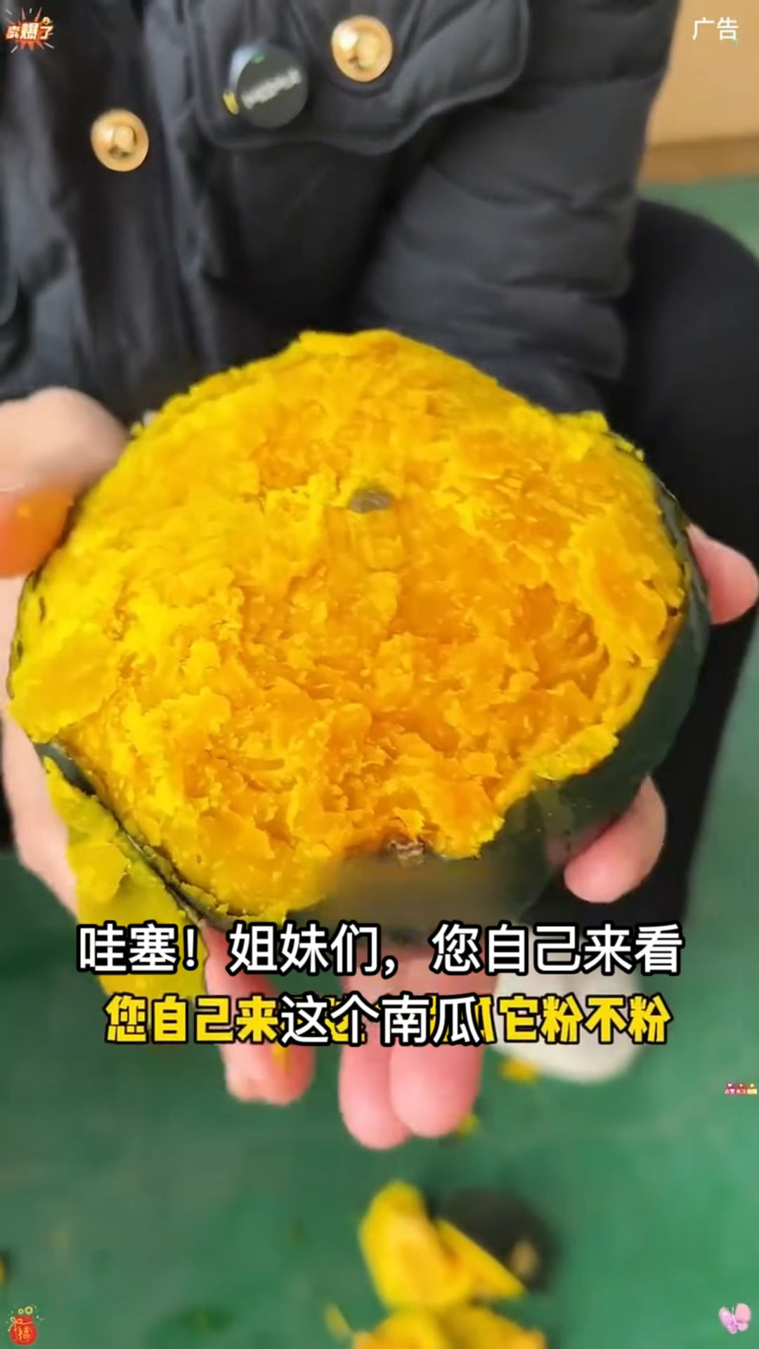 你吃过粉的像蛋黄一样的贝贝南瓜吗?