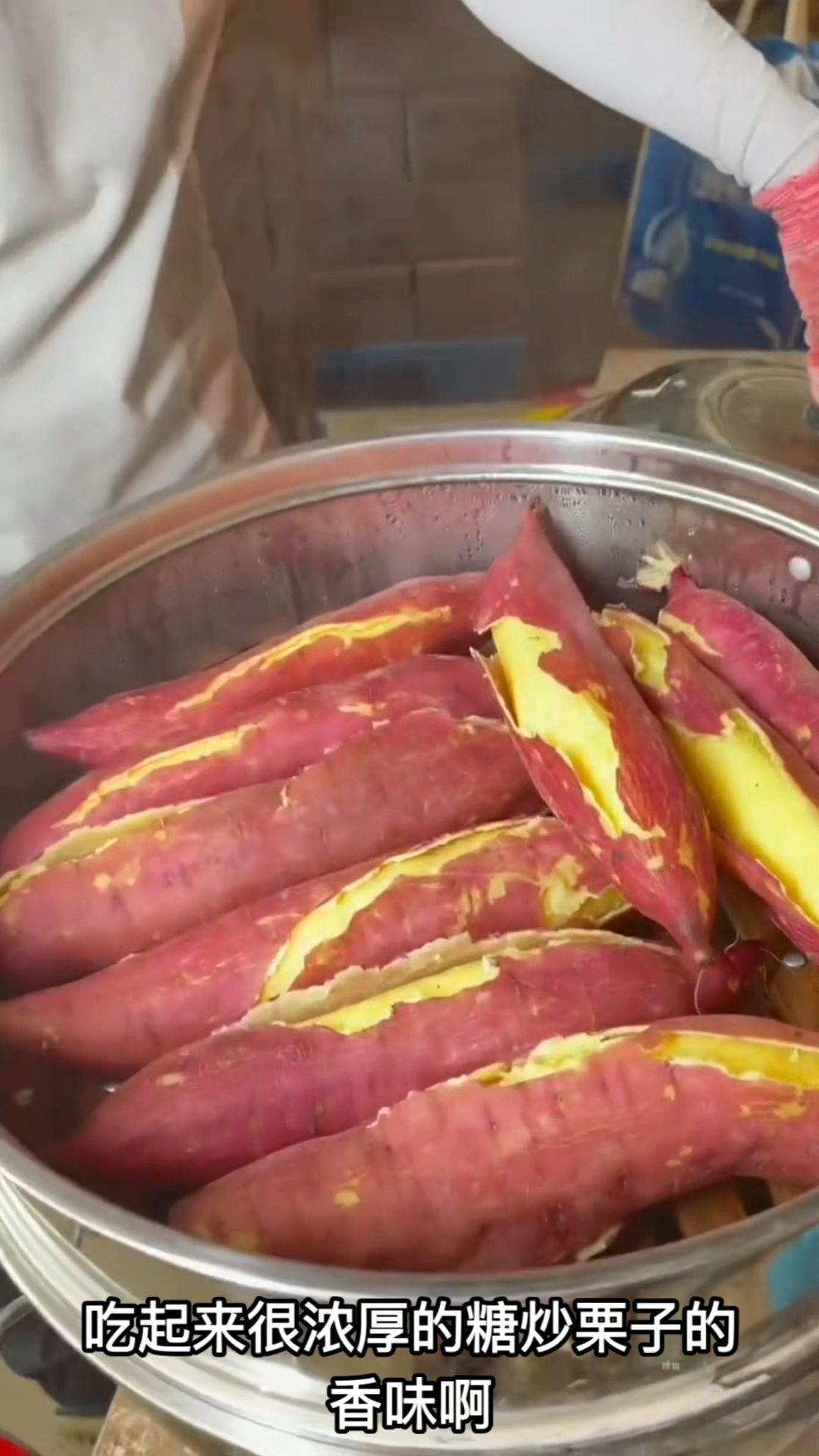 陕西临潼板栗红薯上市了,果肉粉面软糯无丝无筋,清蒸熬粥都好吃