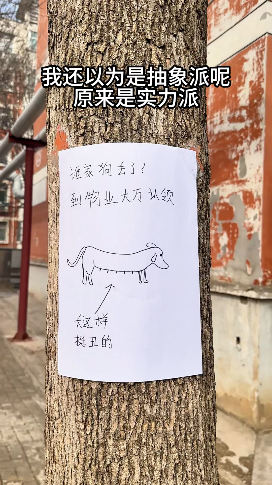 哈哈哈居然是写实派画家,太像了