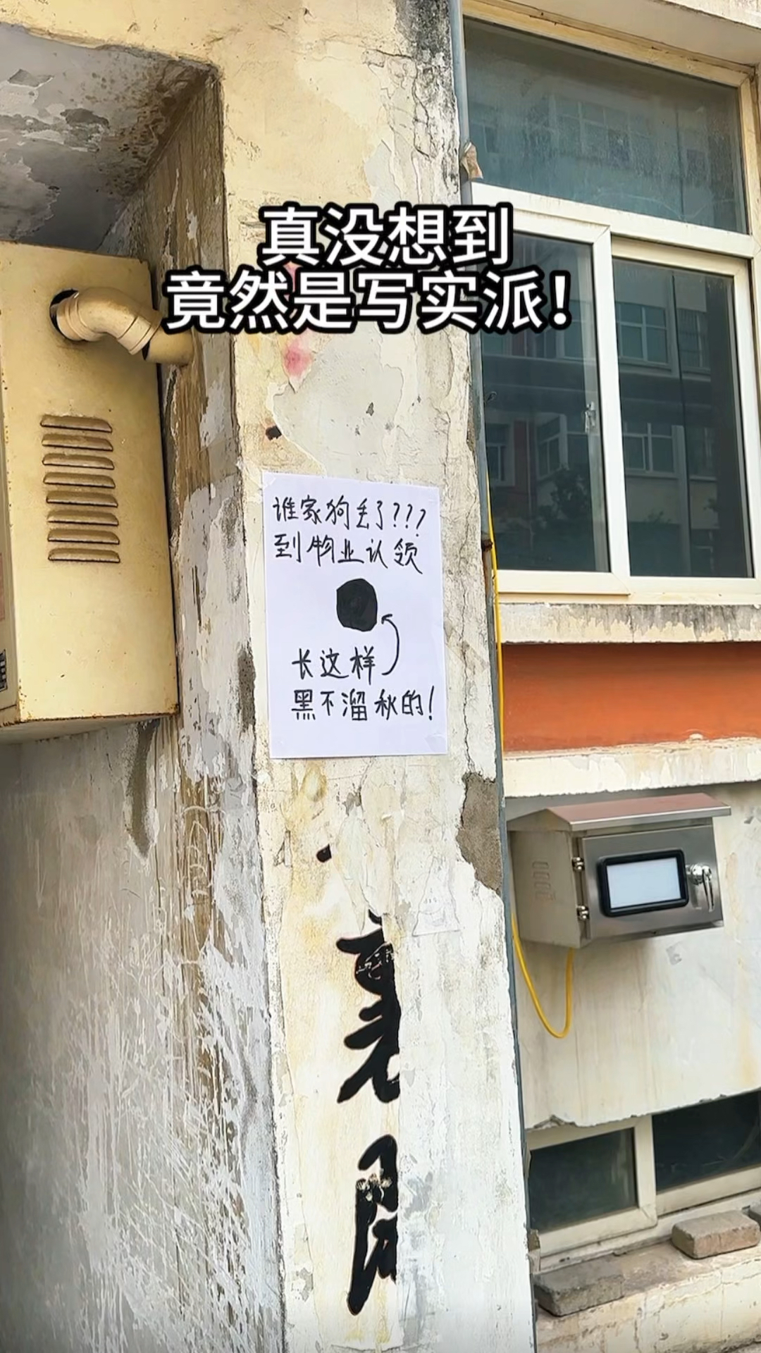 真的没有想到,这画家竟然是写实派的!!!