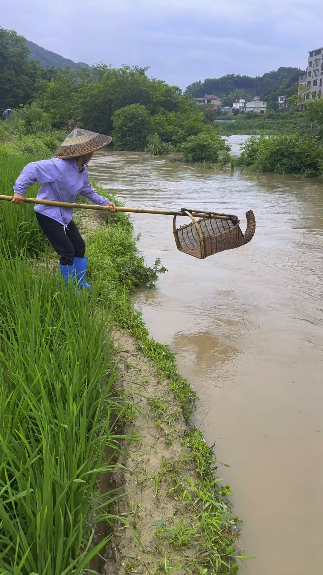 河边涨水了好捞鱼呀