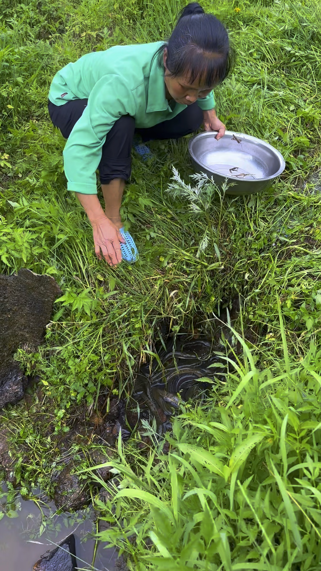 今天抓到很多七星鱼