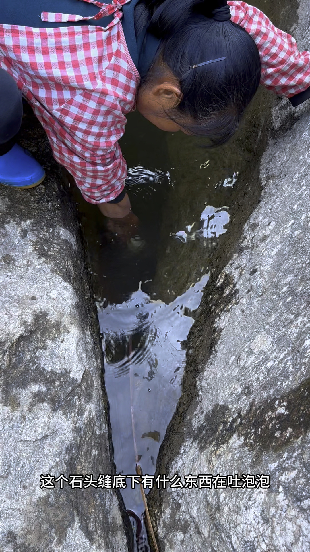 抽干水坑抓到大团鱼