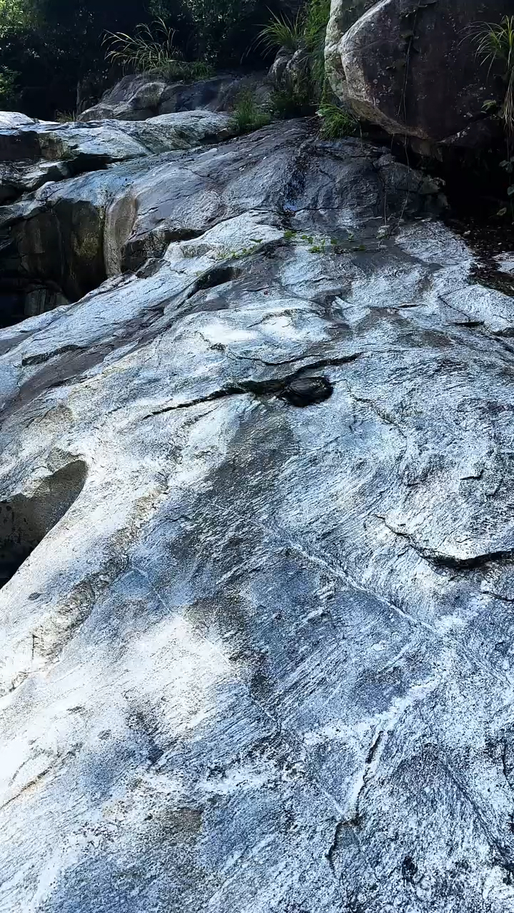 山里面发现一只大团鱼