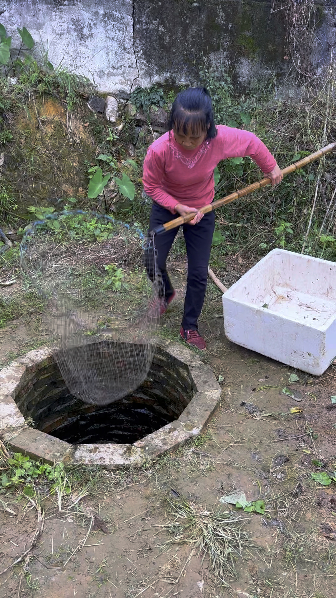 又到了抓塘角鱼的时候了