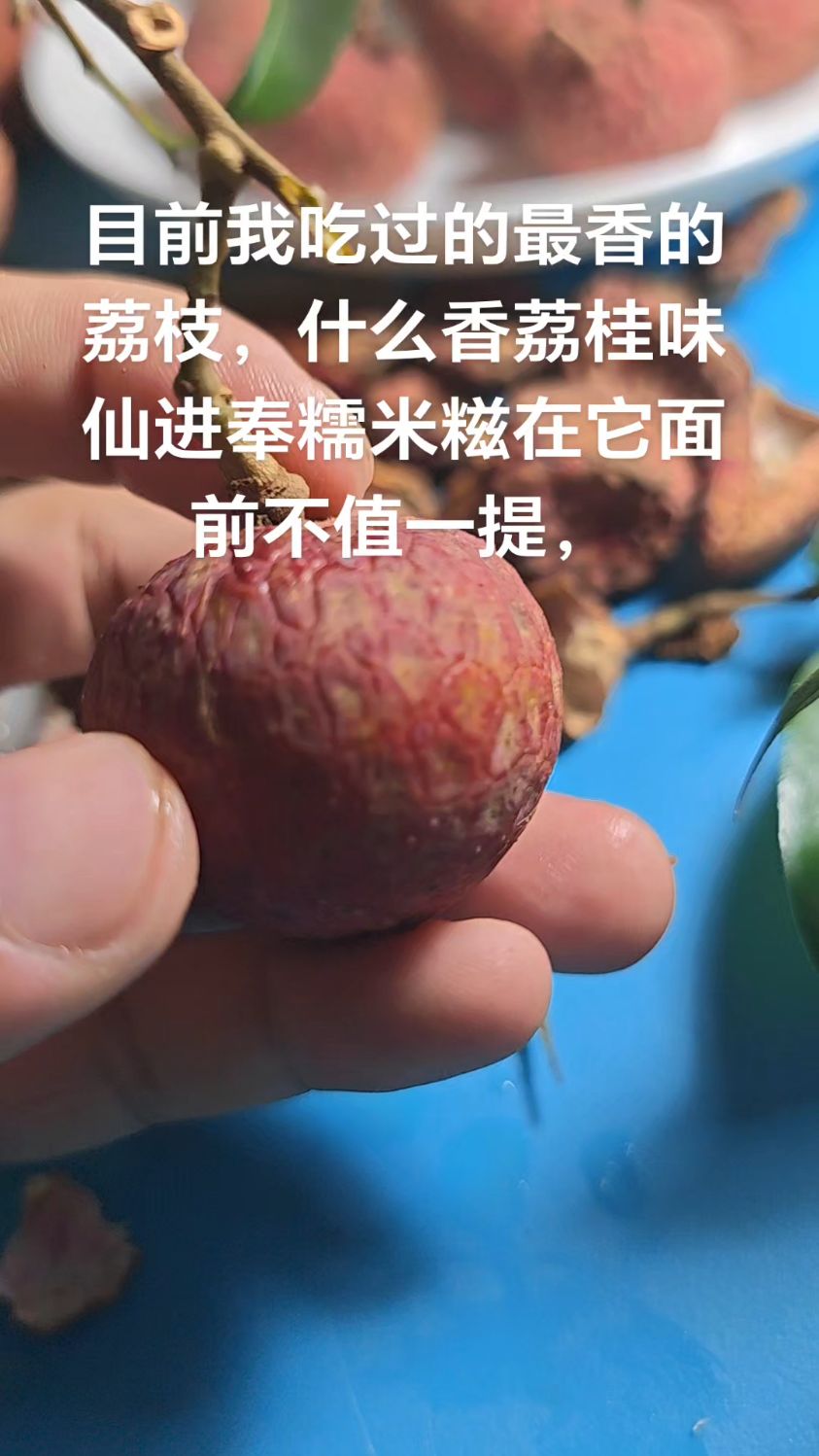 目前我吃过最香的荔枝，比市场上任何品种加起来都香