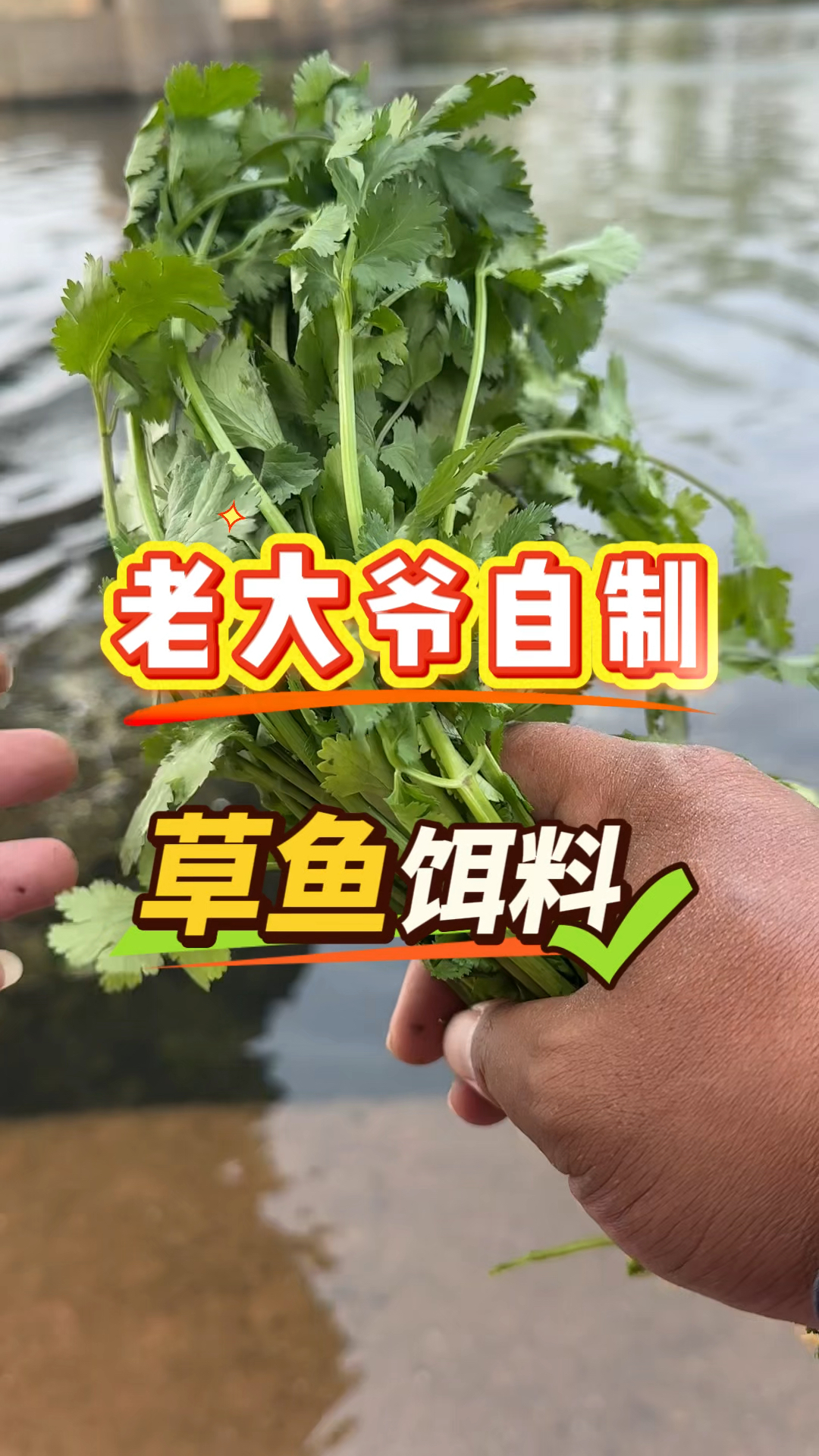 老大爷自制草鱼饵料。#钓鱼饵料 #自制饵料 #钓鱼技巧