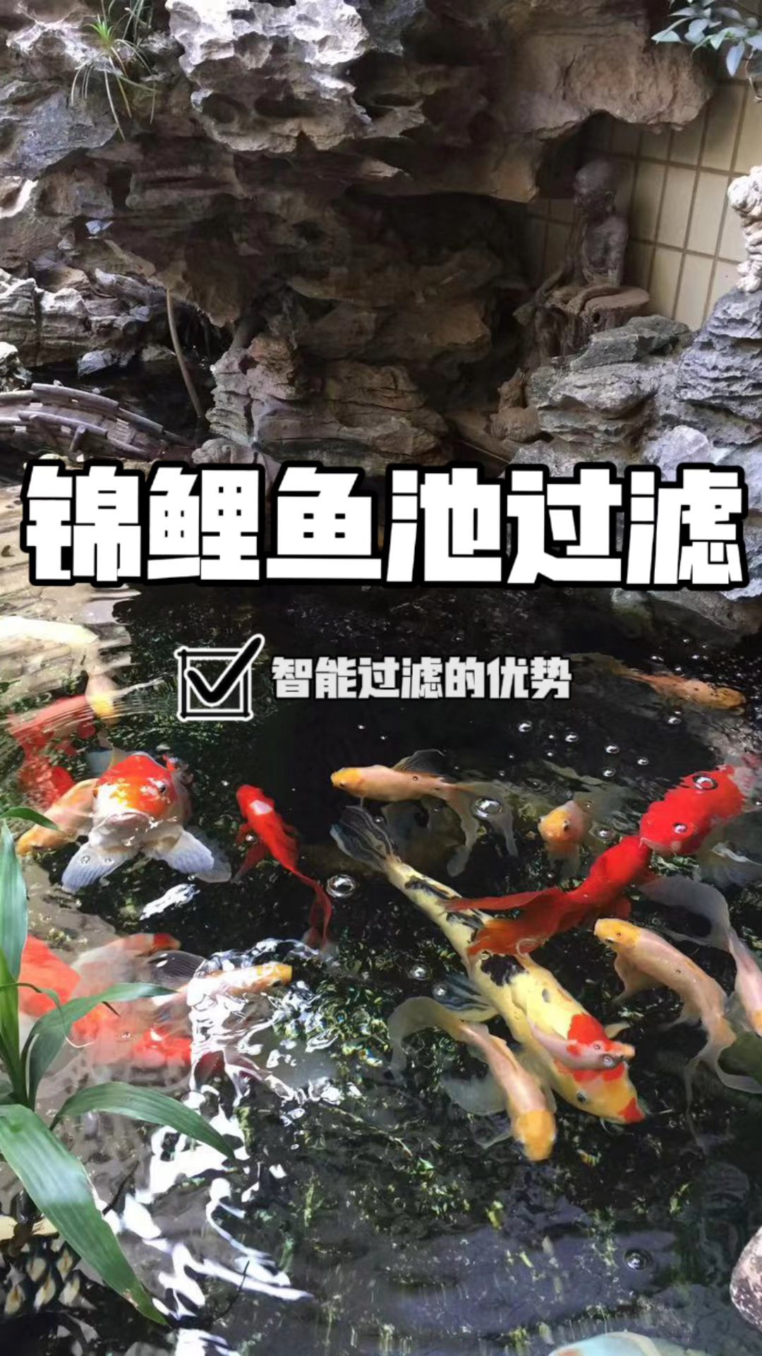 室外锦鲤鱼池使用智能过滤的优势!
