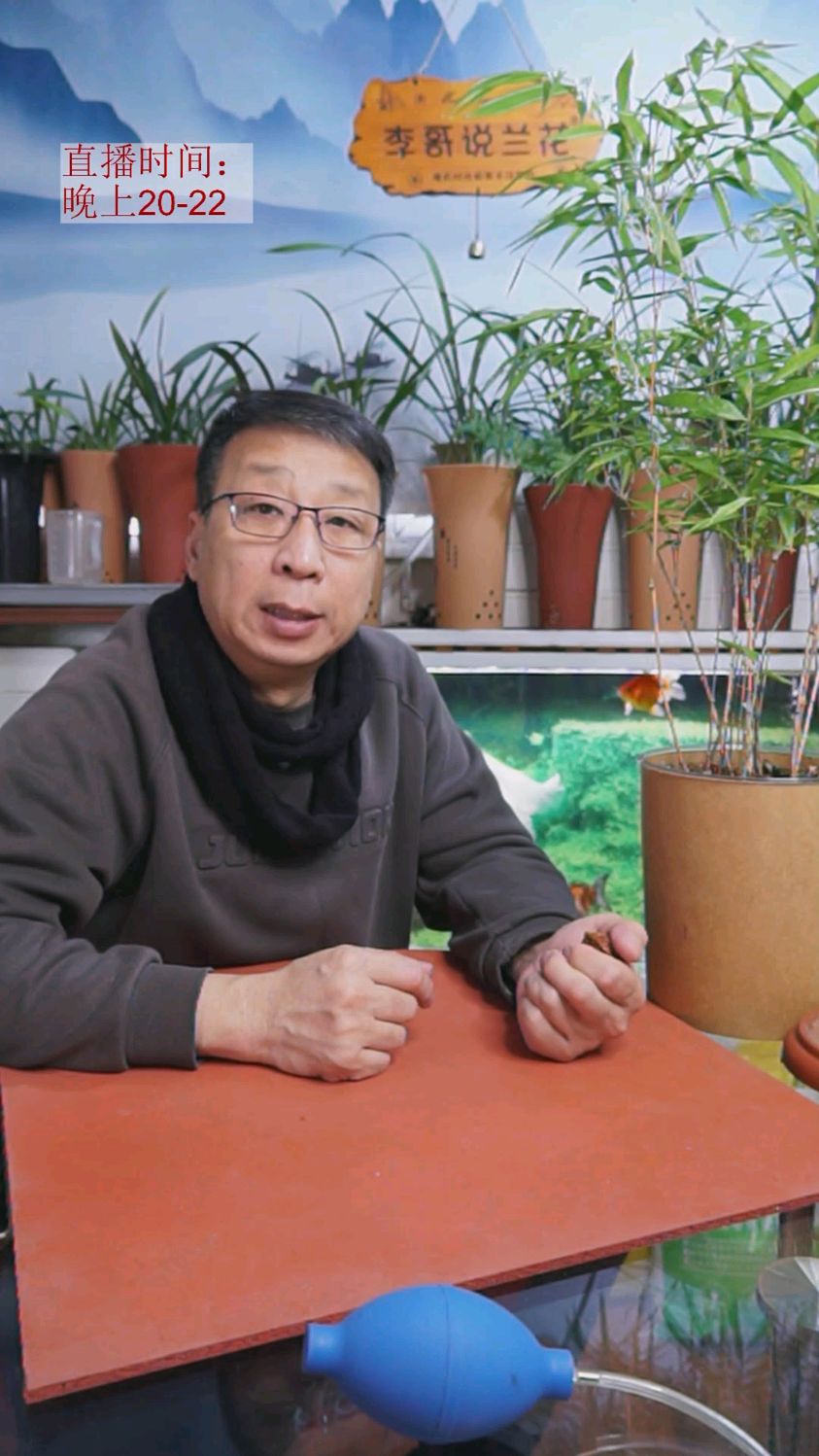养鱼的水能浇兰花吗?