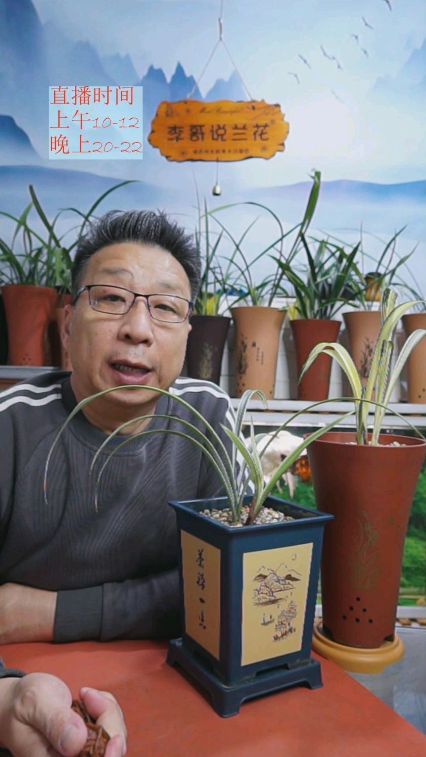 什么是真正的艺草?