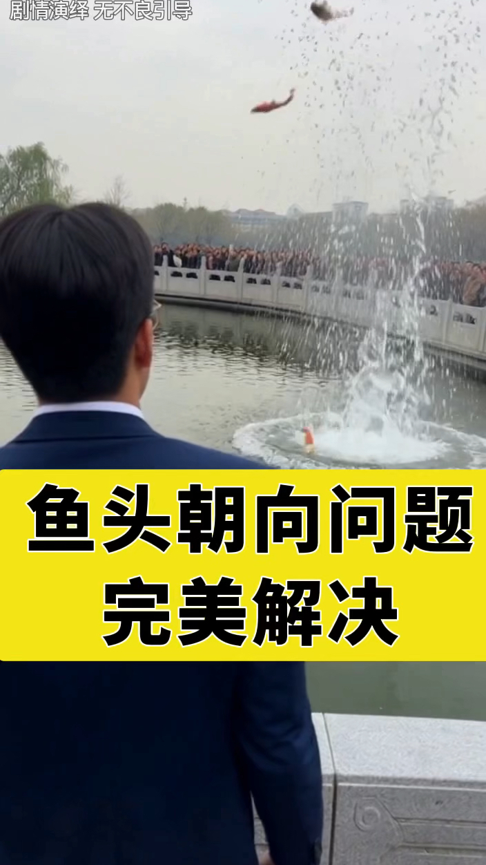 鱼头朝向问题的最终解决方案#鱼头朝向 #待客之道 #解决问题