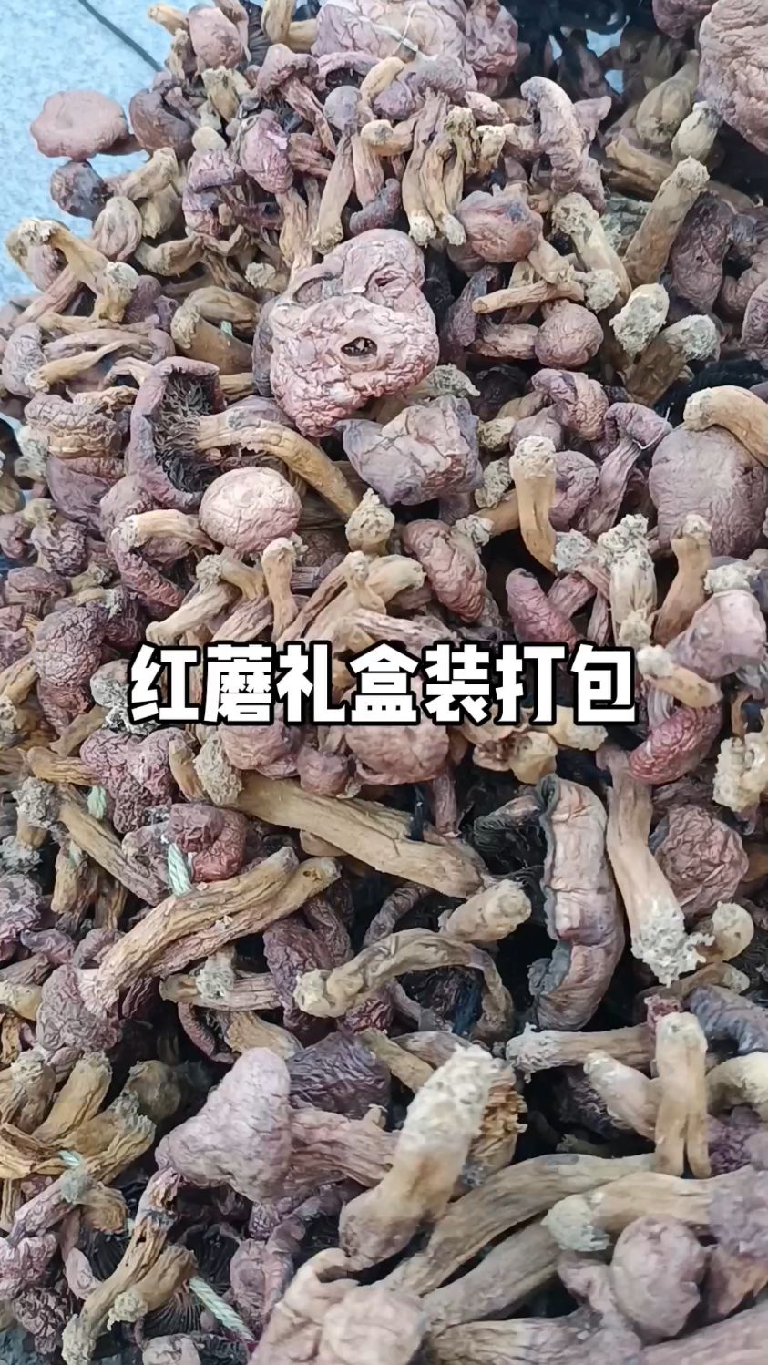 野生红蘑礼盒装打包