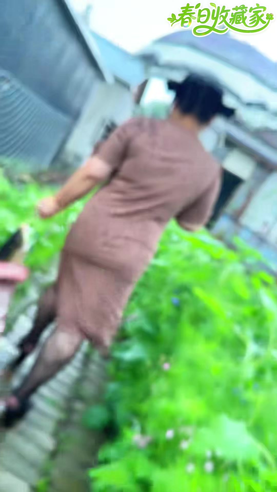 酱焖排骨鱼，小味挠挠的