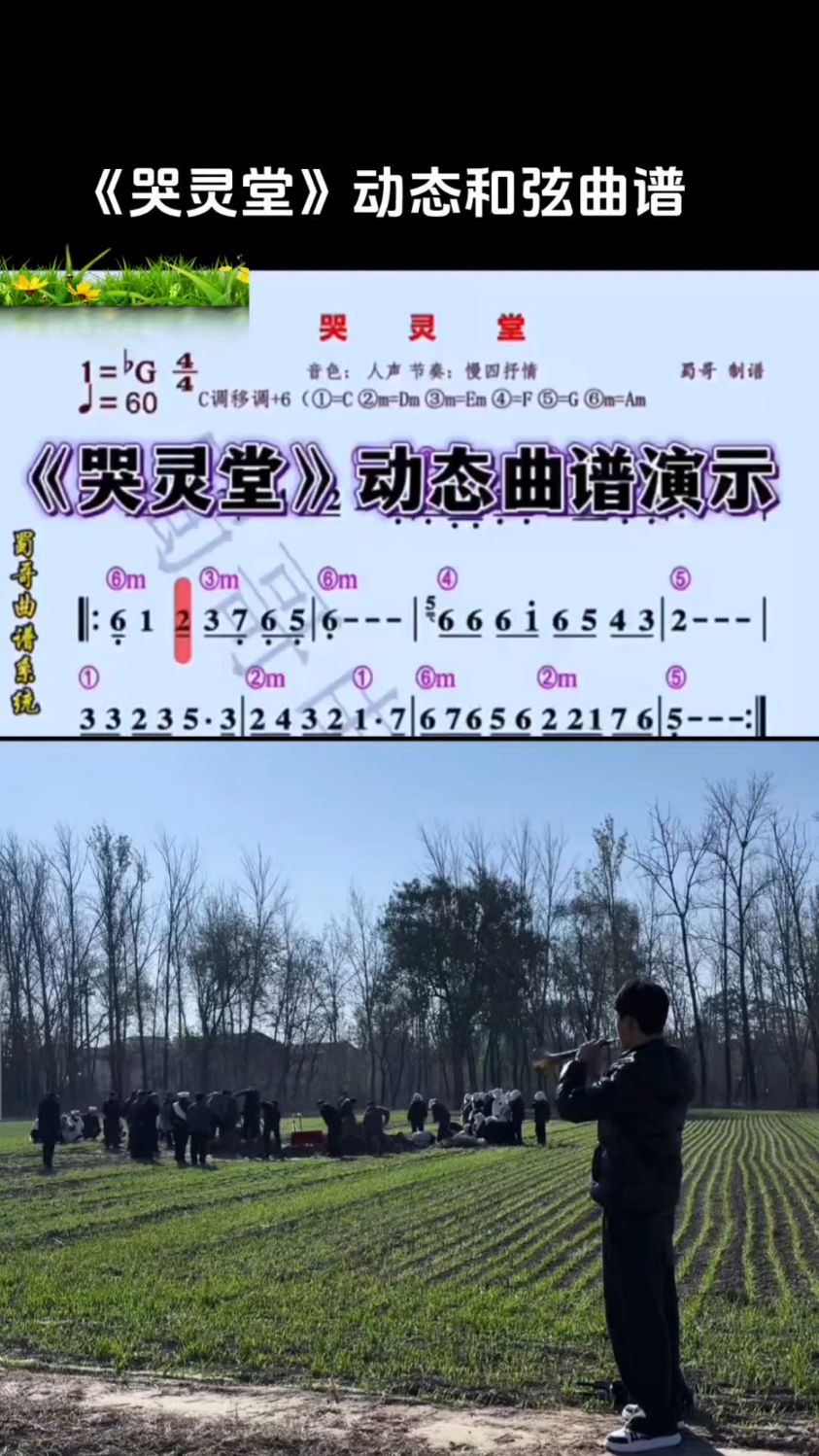 《哭灵堂》电子琴和弦动态曲谱