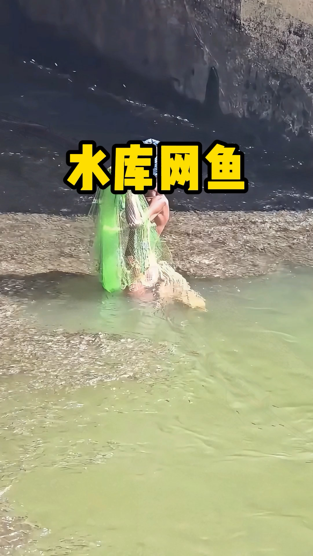 钓鱼人在水库网鱼,最后竟然抓到了100多条大鱼!