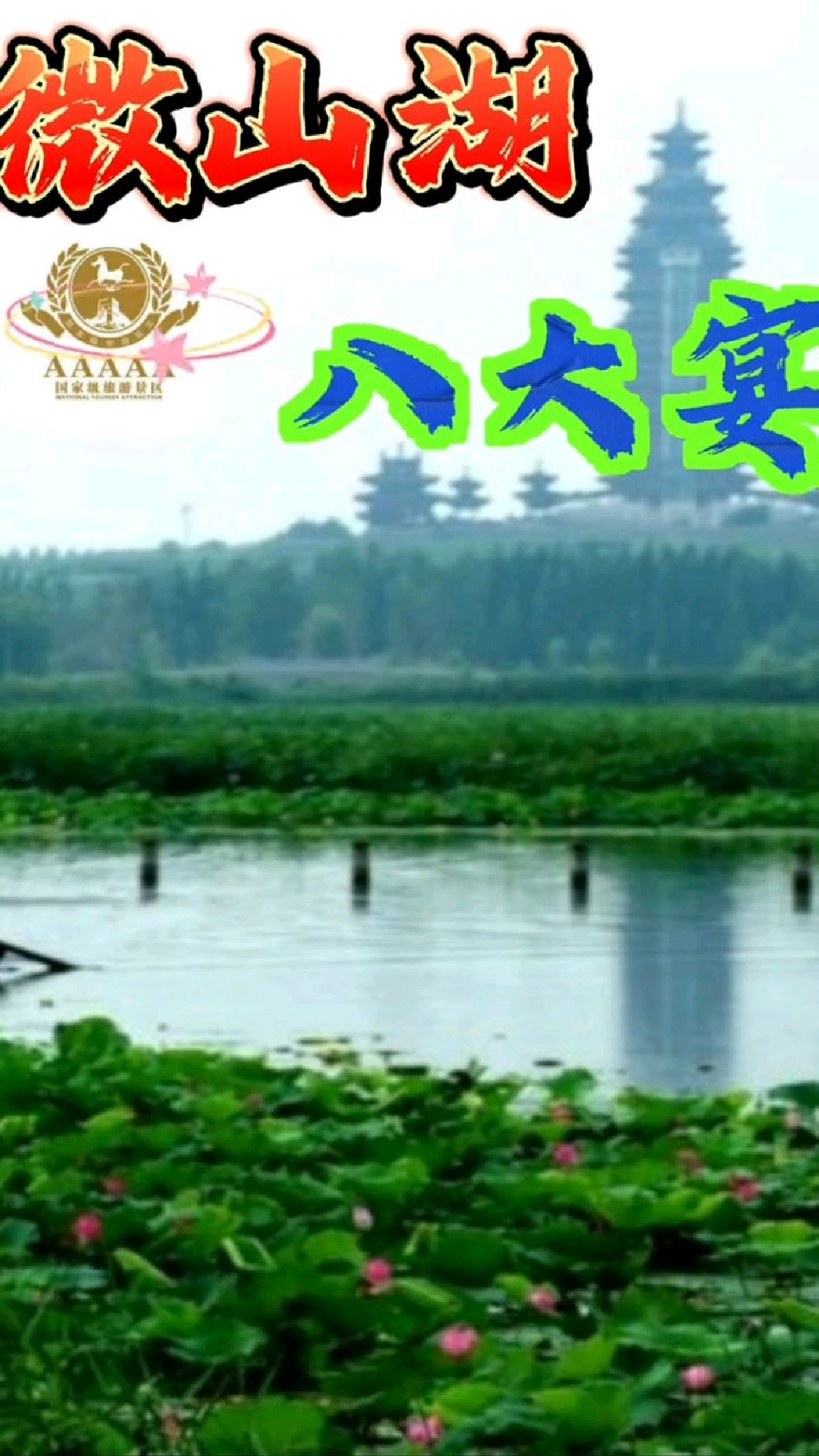 非遗(微山湖全鱼宴)之微山湖八大宴席