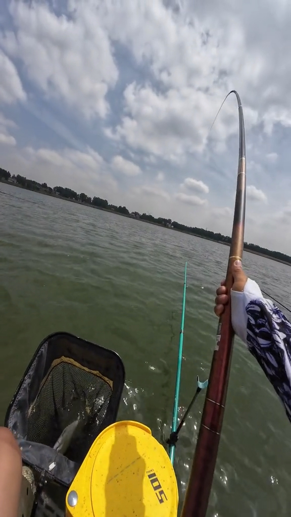 涡河怒甩翘草鳊。